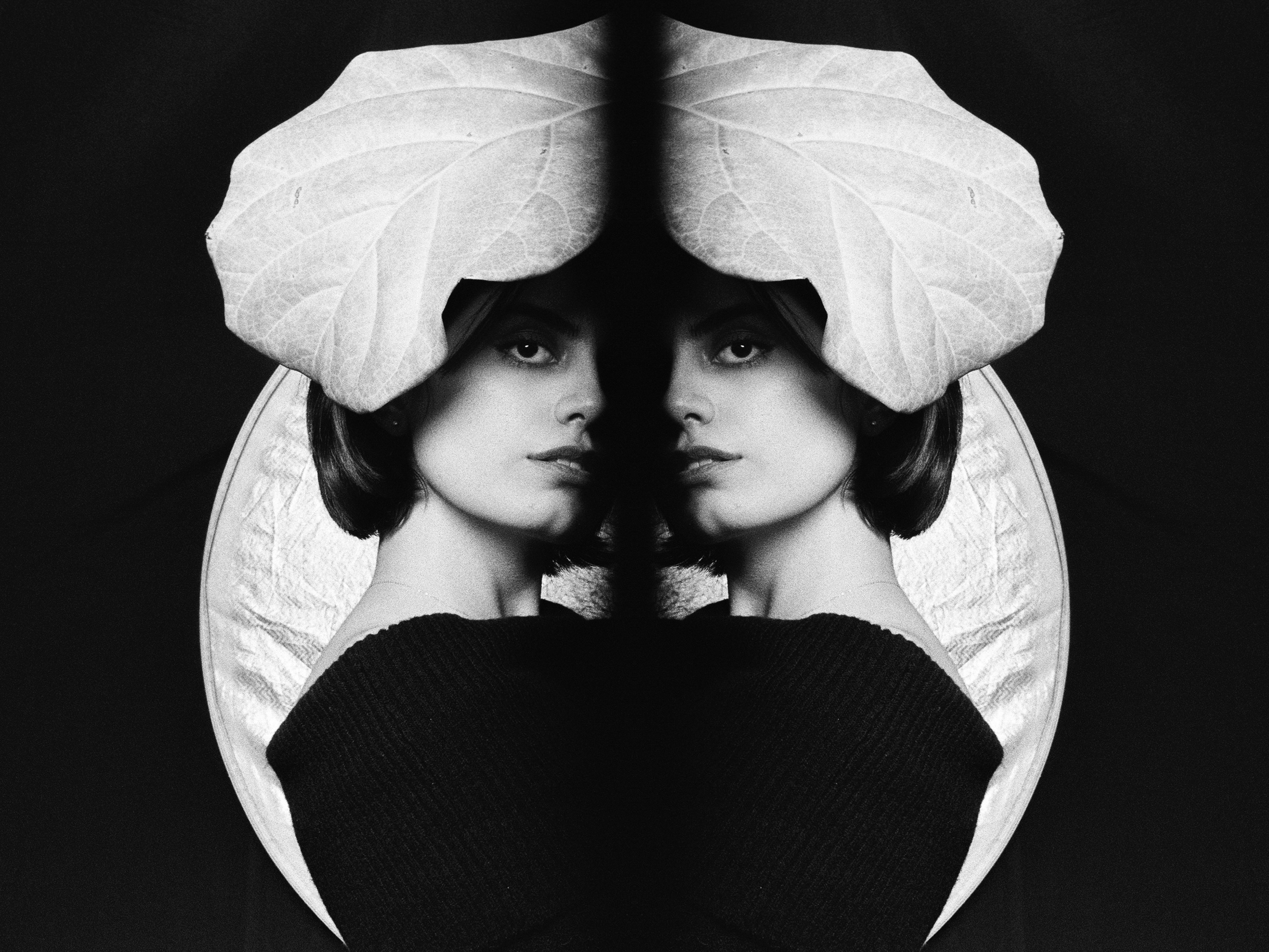 Darina Feng's photography: Double Take - Echo